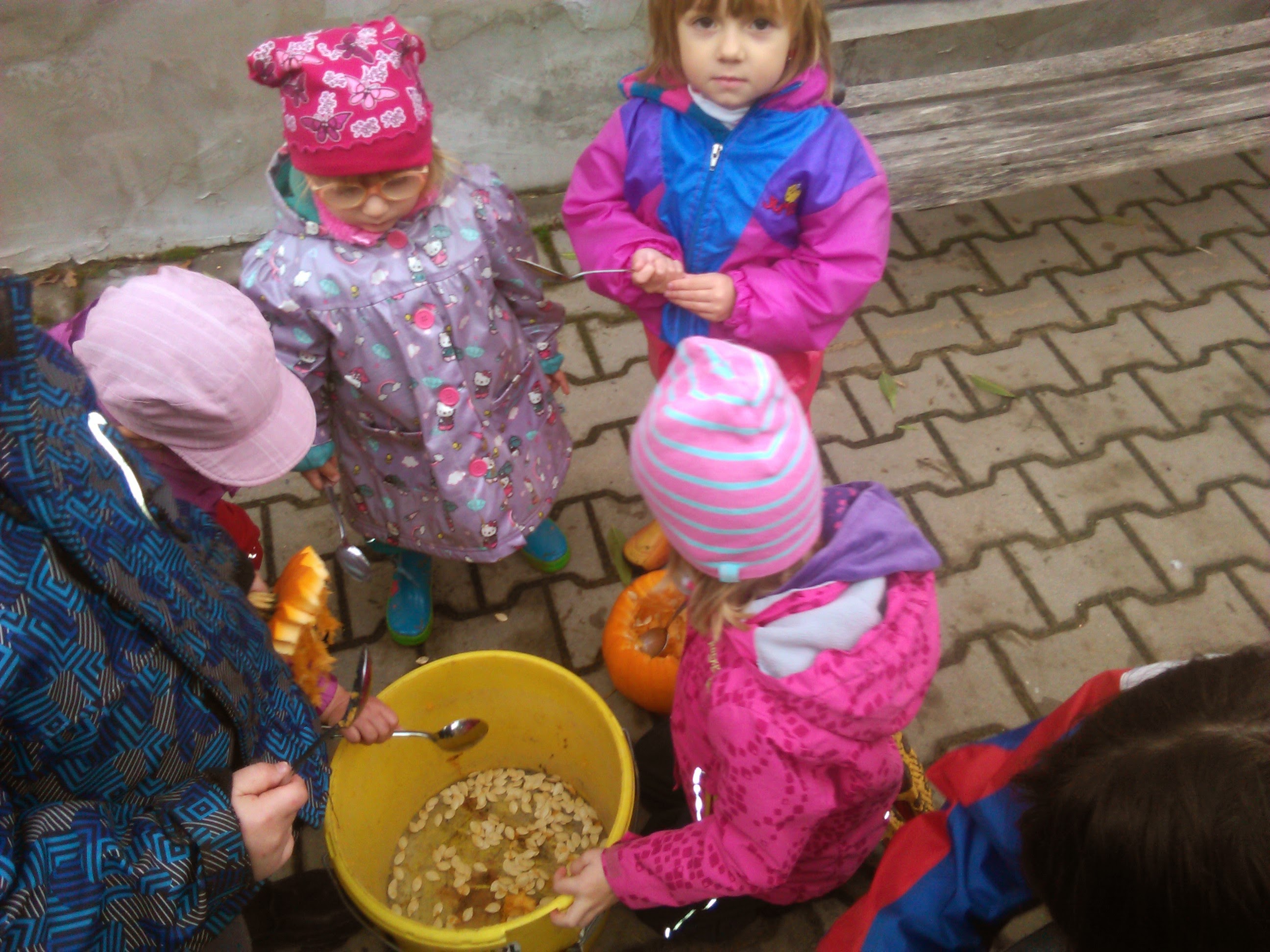 IMG_20141020_101608